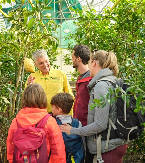 Freier Eintritt Zitrusgarten